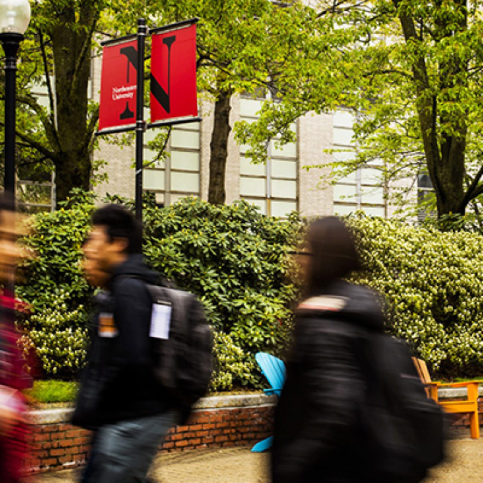 Northeastern University Master of Finance A Deep Dive