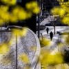 May Faculty Publications