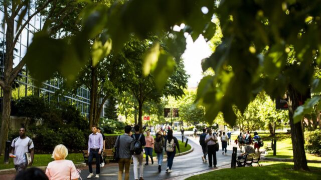 students walking on a brick path surrounded by trees