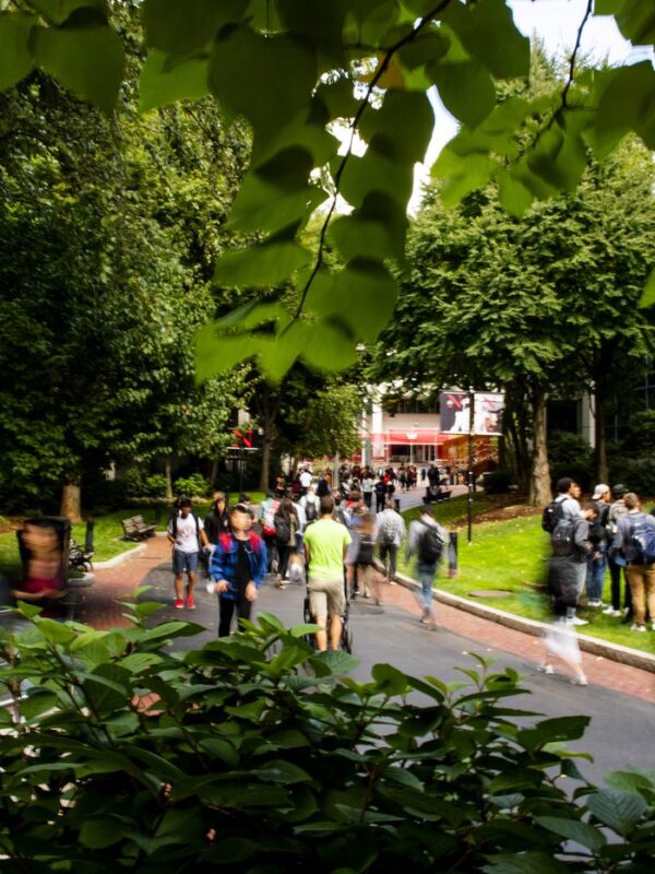 students walking through campus surrounded by trees