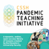Director Lori Lefkovitz featured in Chronicle of Higher Education article on CSSH Pandemic Teaching Initiative