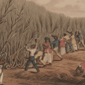 Early Caribbean Digital Archive