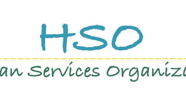 logo for Human Services Organization white background with blue/green font