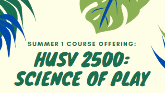 HUSV 2500 Flyer