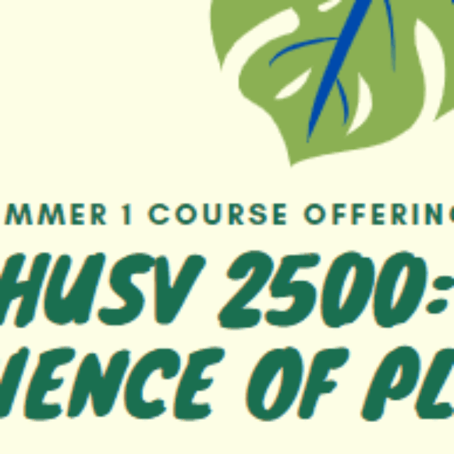 HUSV 2500 Flyer