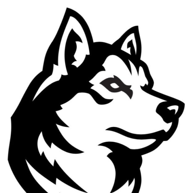 Northeastern drawn Husky Logo