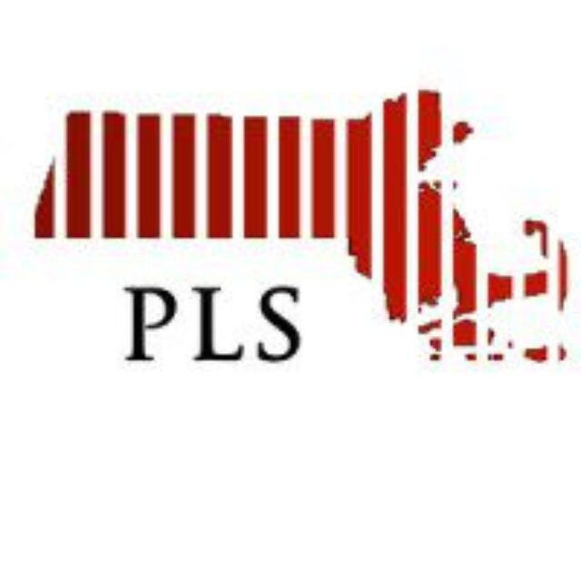 pls logo