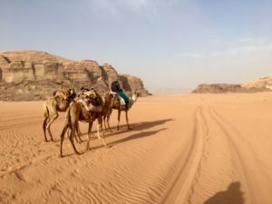 Jordan and Egypt Dialogue of Civilization, 2019 | Wadi Rum, Jordan | Photo by Sunita Pfitzner