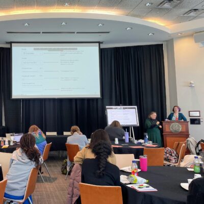 A crowd watches from their seats in Northeastern's Raytheon Amphitheater as speakers discuss the NULab spring conference's participants.