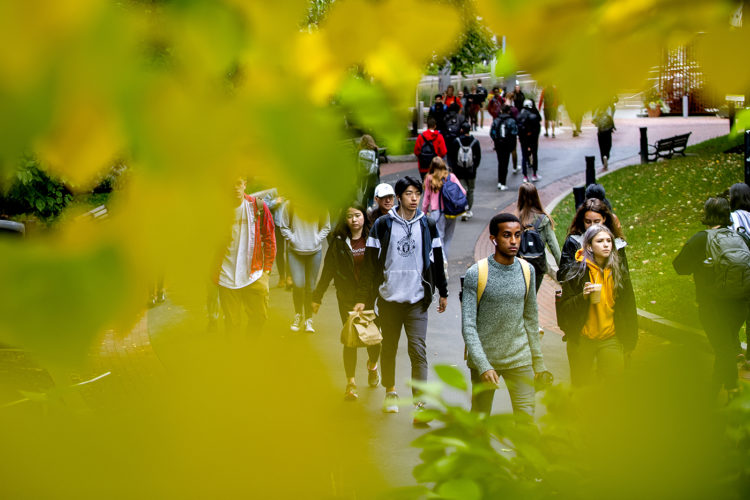 Northeastern students walk past campus foliage outside the Dana Research Center.