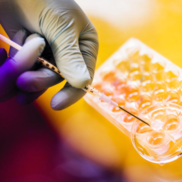Sidi Bencherif works in the lab in Mugar on April 2, 2019.