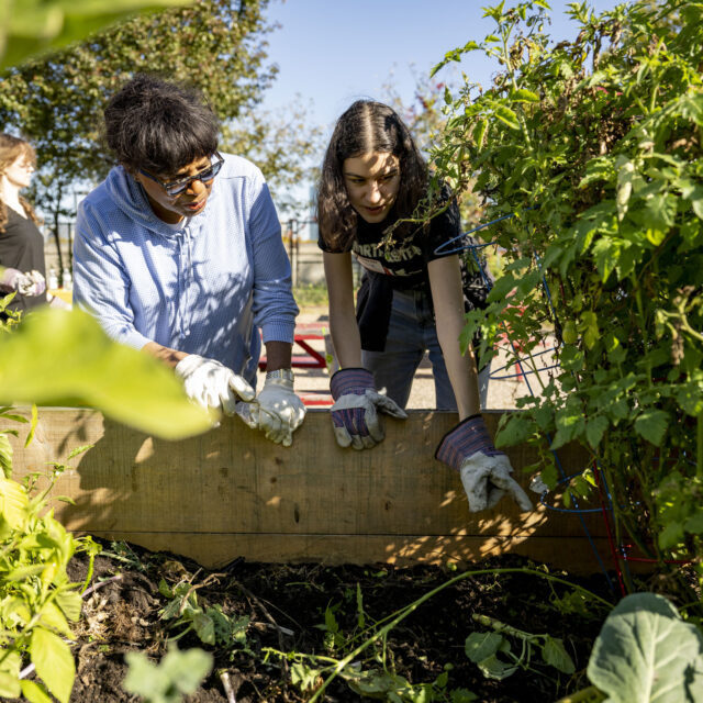 Community Service and Civic Engagement’s Service Day
