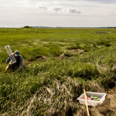 Johanna L’Heureux, who studies marine and environmental science, works on field research at Plum Island Estuary in Rowley, Massachusetts.