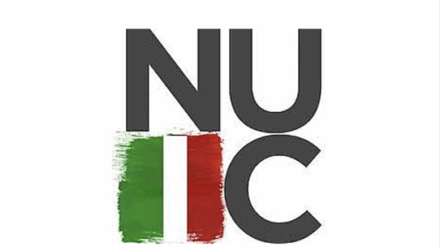 Northeastern University Italian Club logo: the Italian flag decorates the I letter.