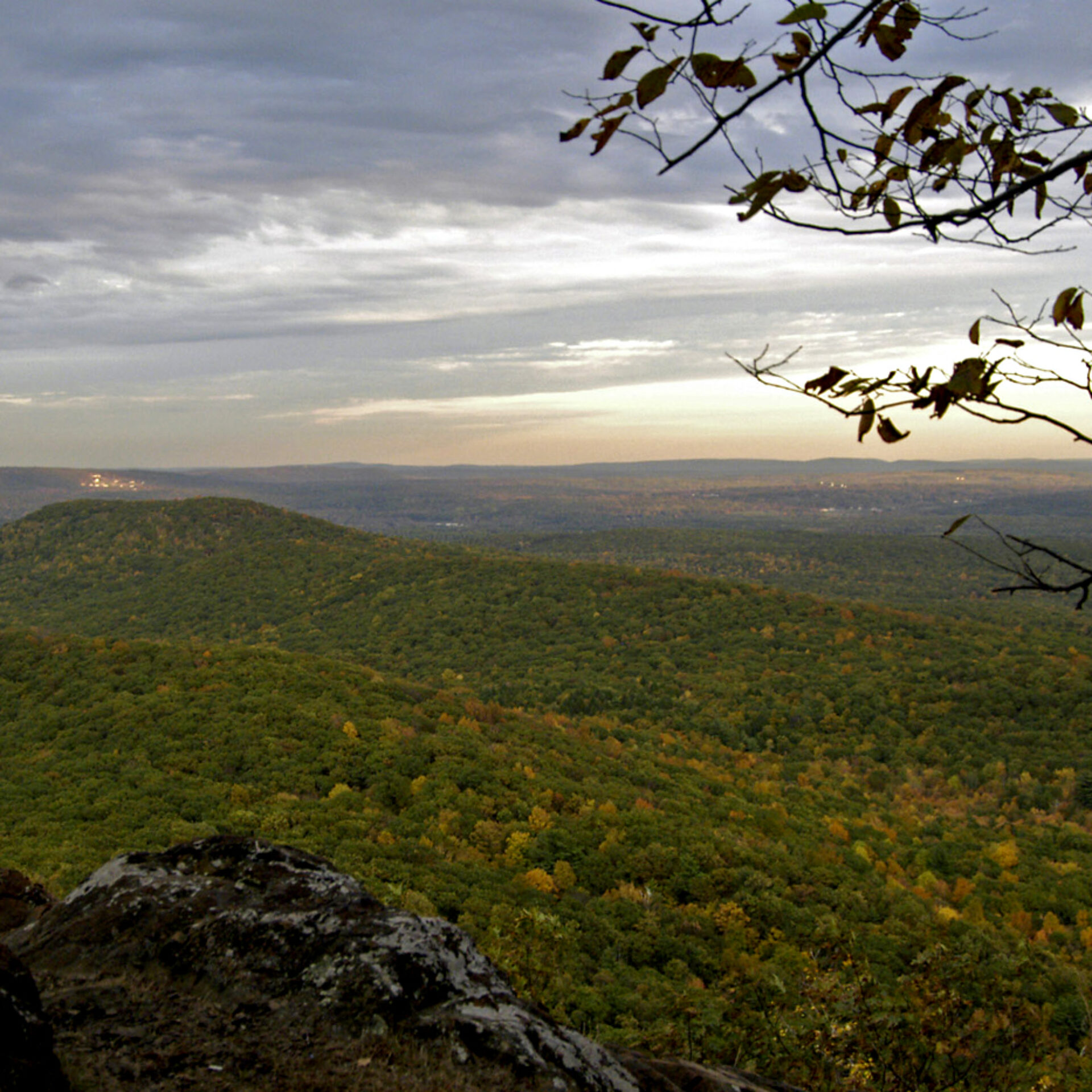 Free State Rural Areas Rural areas are key to American life, but they’re struggling. A ...
