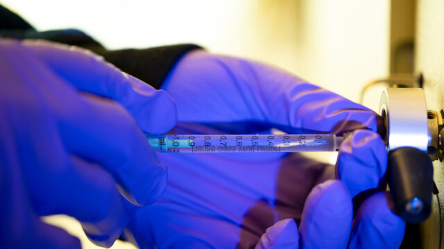 Northeastern associate professor of chemistry and chemical biology Lori Ferrins works in her lab in the Egan Research Center on Friday, Dec. 6, 2024. Photo by Alyssa Stone/Northeastern University