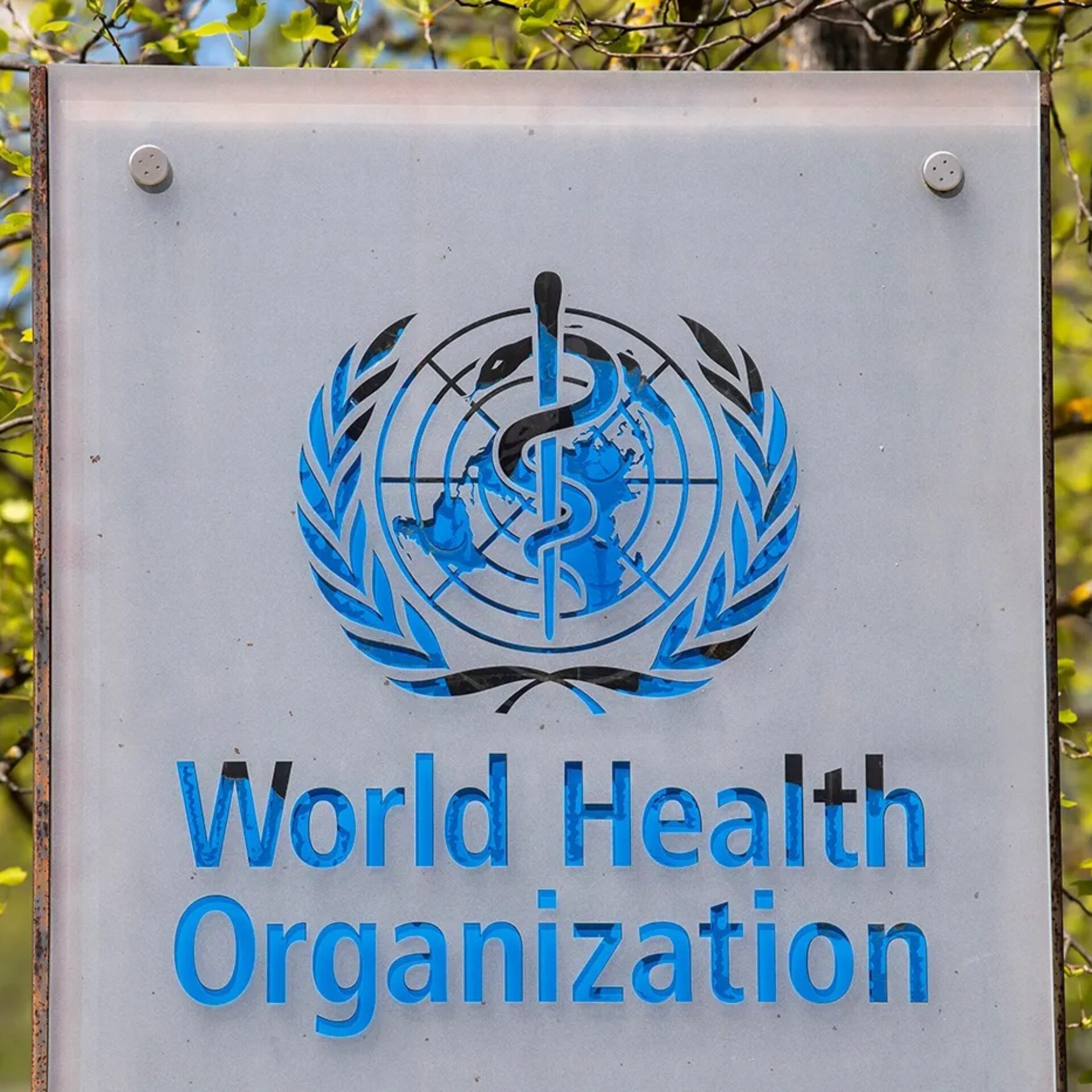 What the US exit from the WHO means for global health and pandemic ...