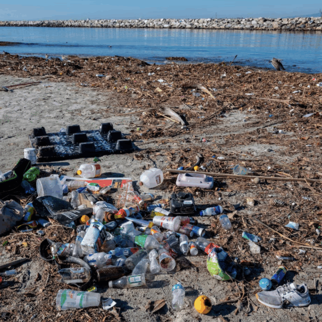 Plastic washed up on the beach