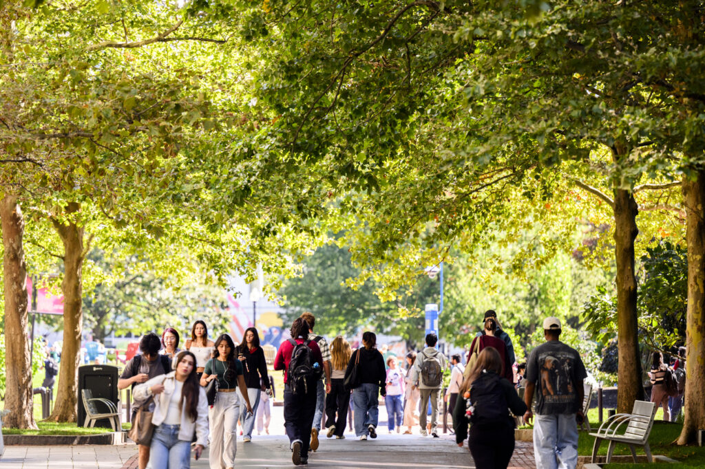 Belonging at CSSH - College of Social Sciences and Humanities
