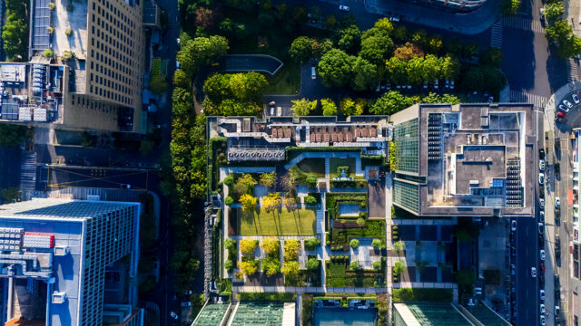 Sustainable green rooftop architecture in eco-friendly modern urban cityscape