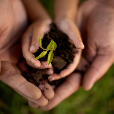 Hands, parent and child with plant soil of gardening, earth day and learning of agriculture care. Family, kid and closeup with leaf for sustainable growth, teaching and environment wellness of nature