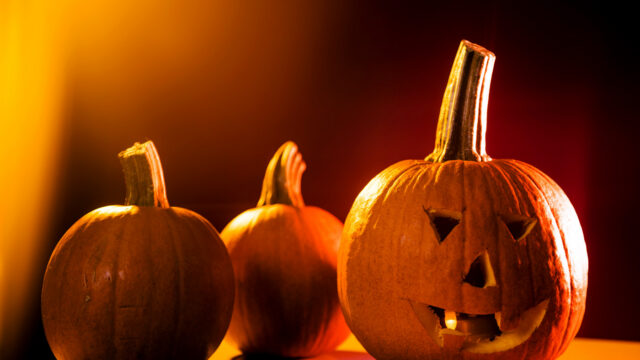 10/31/17 - BOSTON, MA. - Stock images of pumpkins on Halloween on Oct. 31, 2017. Photo by Adam Glanzman/Northeastern University