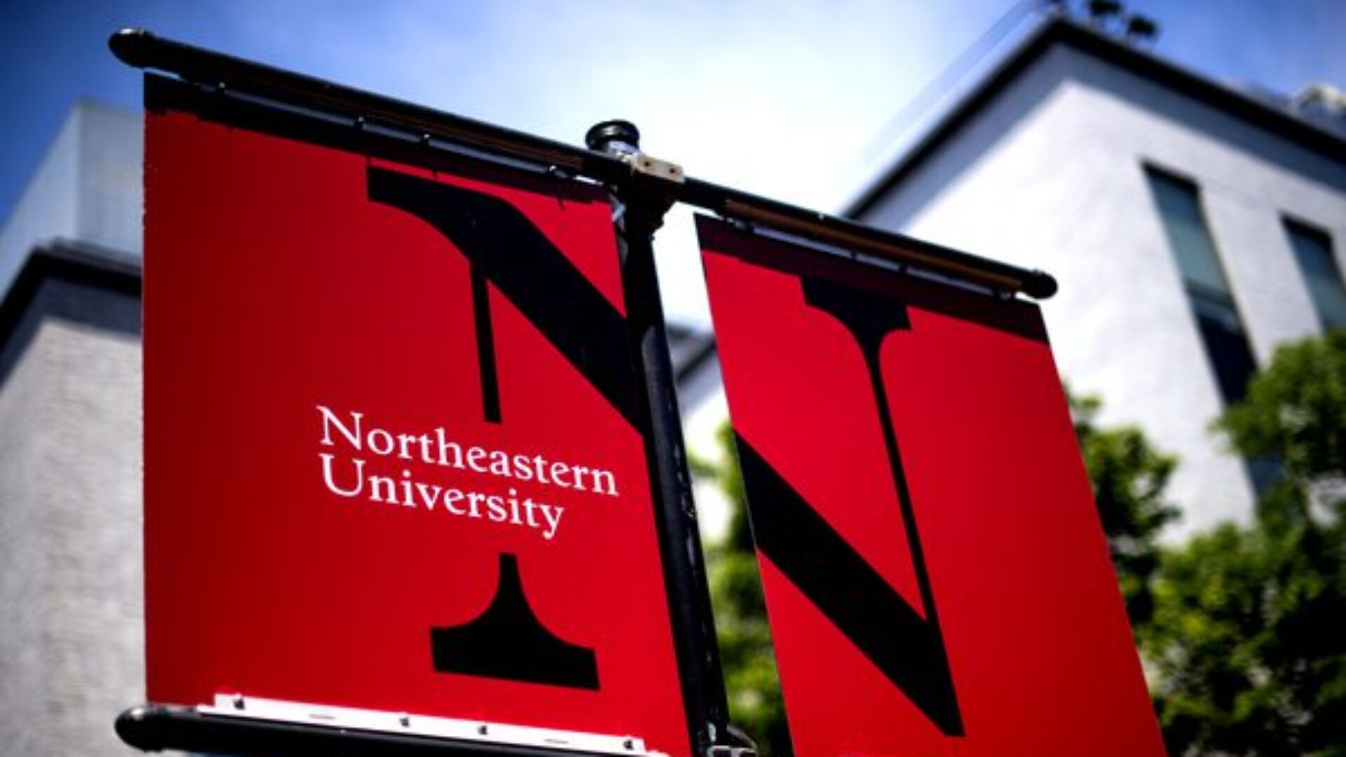 writing center northeastern university